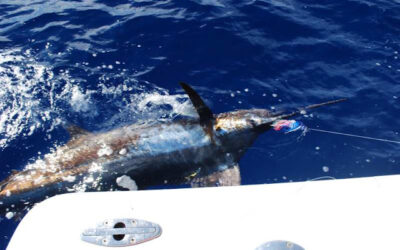 Fishing, Hawaii Style