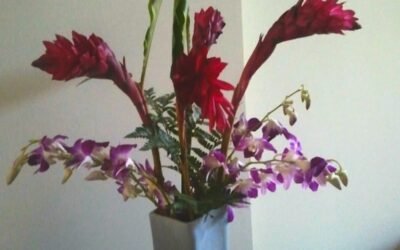 Happy Mothers’ Day