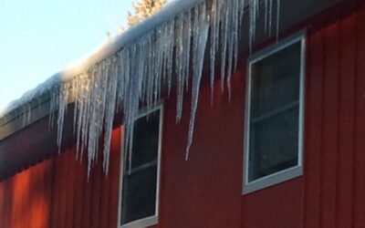 The daily icicle