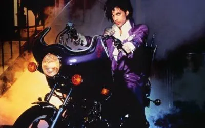 So. Prince, and…