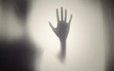 The Thriller in the Shadows